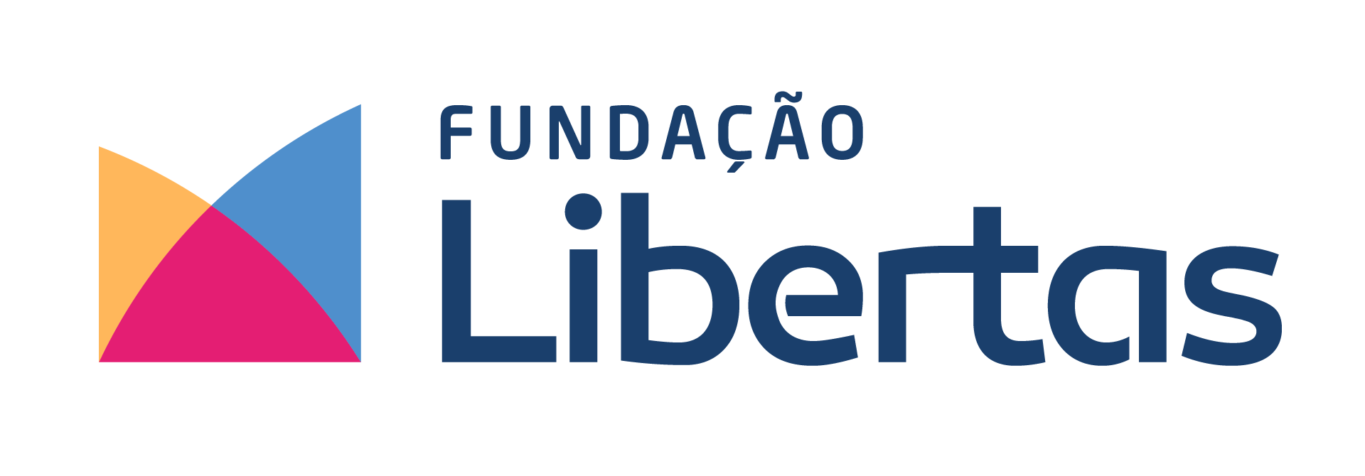 Logo 6 - fundação libertas